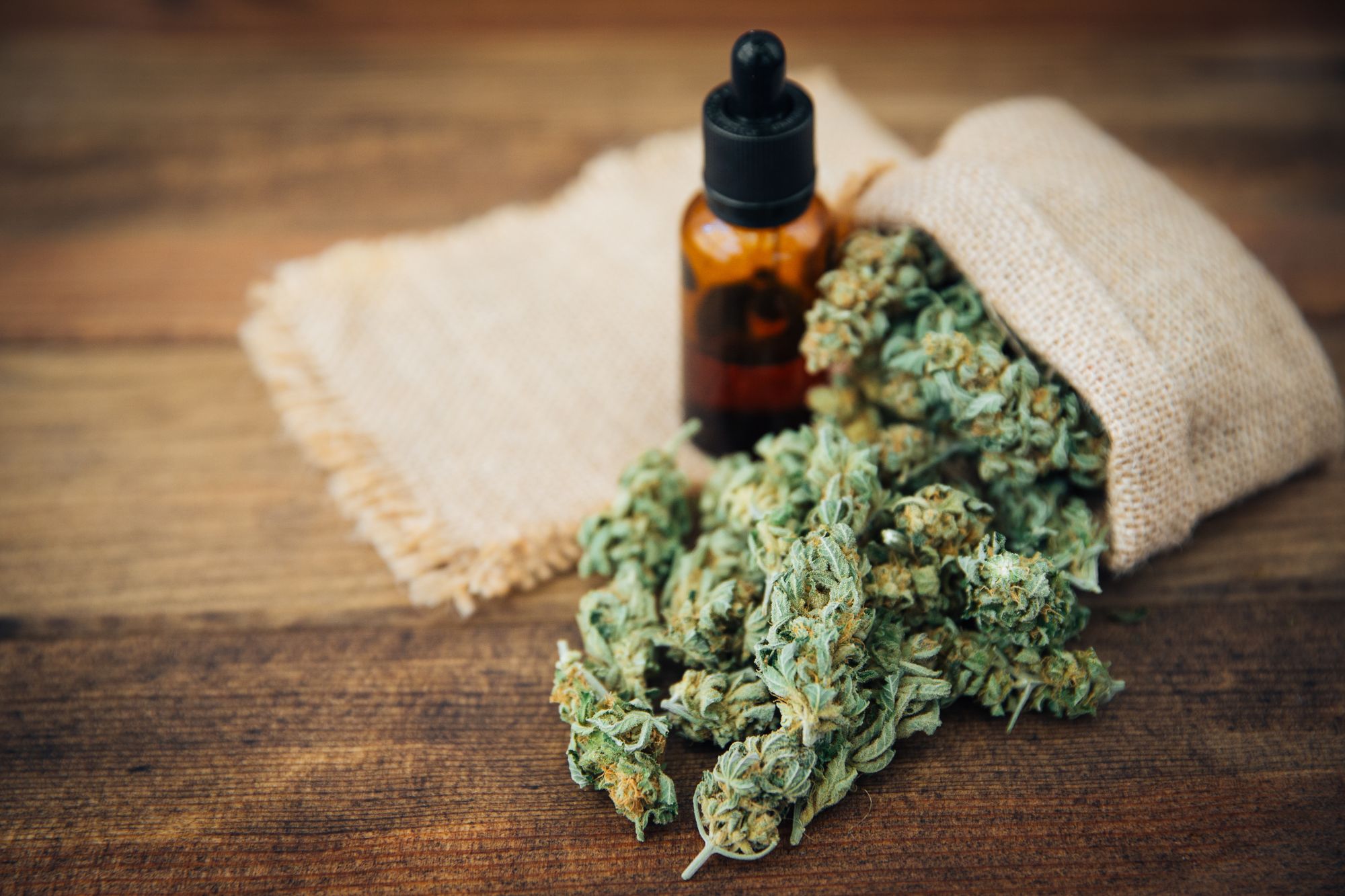 What to look for when buying Cannabis Oil?
