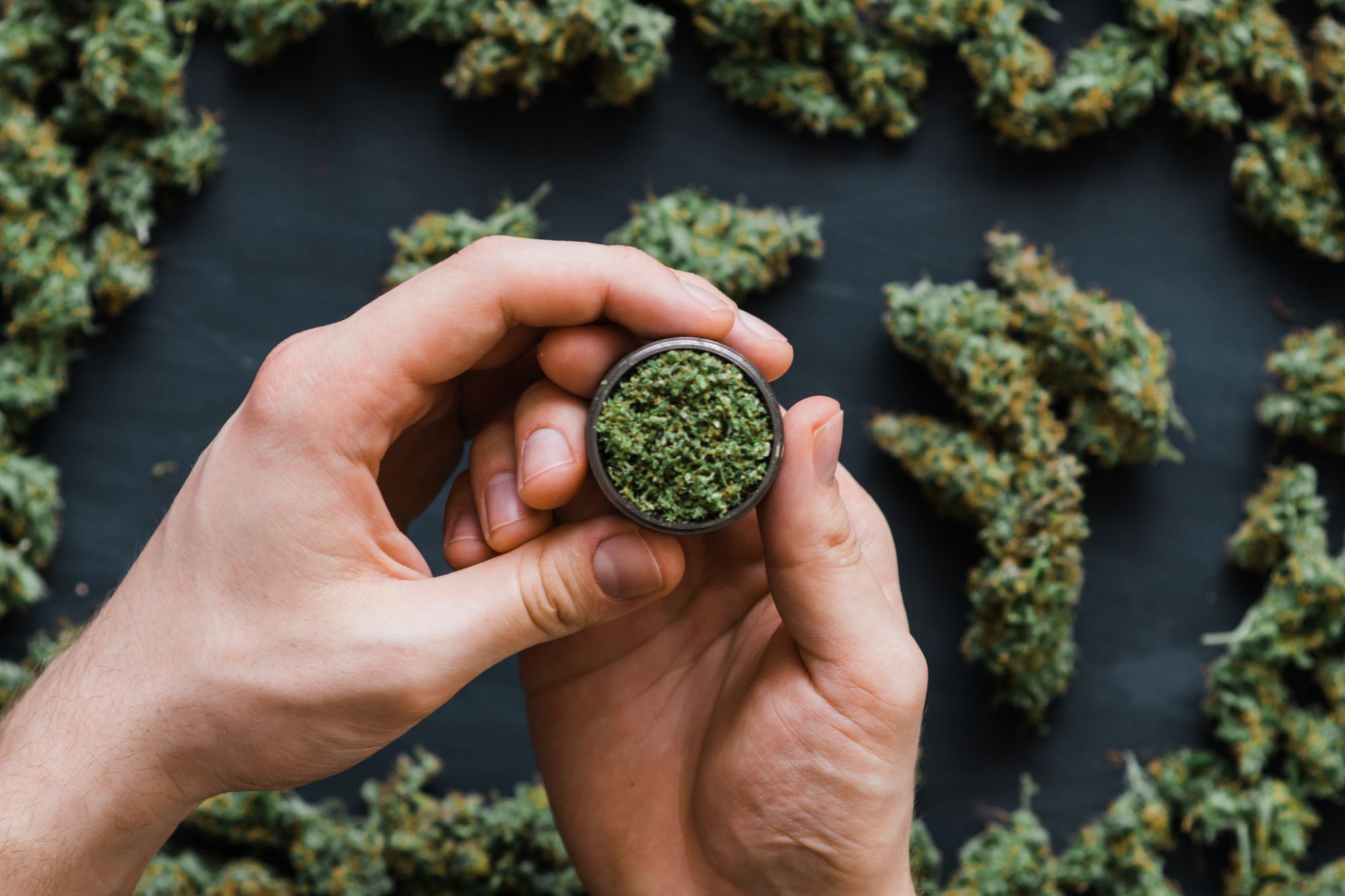 Breaking the Stigma: Exploring the Medical Benefits of Cannabis