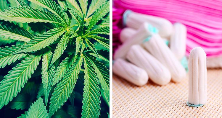 Cannabis infused tampons, a new way to fight period pain