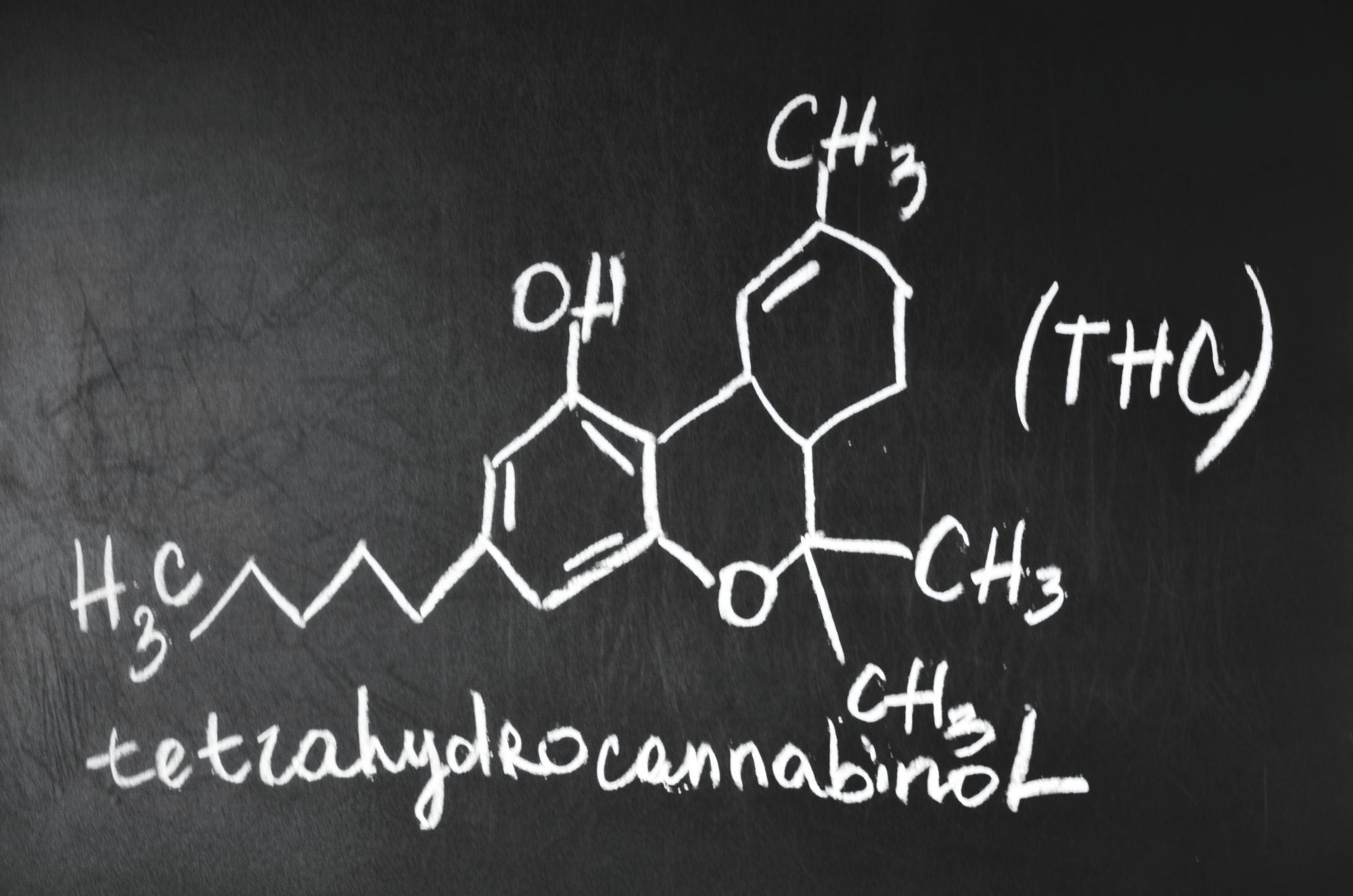 Who discovered THC and CBD?