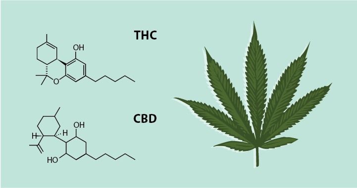Can you suffer from endocannabinoid deficiency?