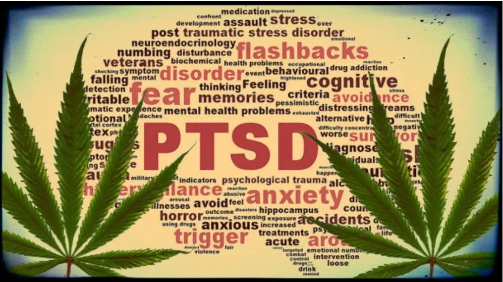 PTSD and THC