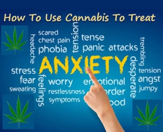 What Type of Medical Cannabis Works For Anxiety?