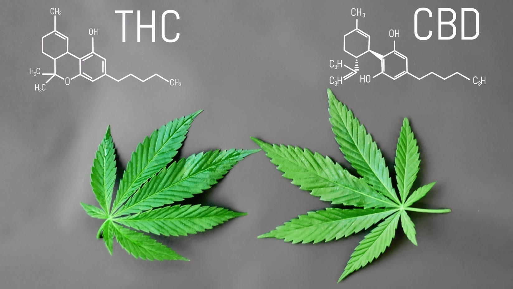 Medical Cannabis and THC used to help with Pain